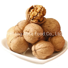 Healthy Snack Ingredient Walnut Kernels Walnut